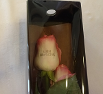 20150531-125609_1_thumb.png